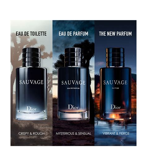 sauvage dior price in malaysia|sauvage Dior 100ml price.